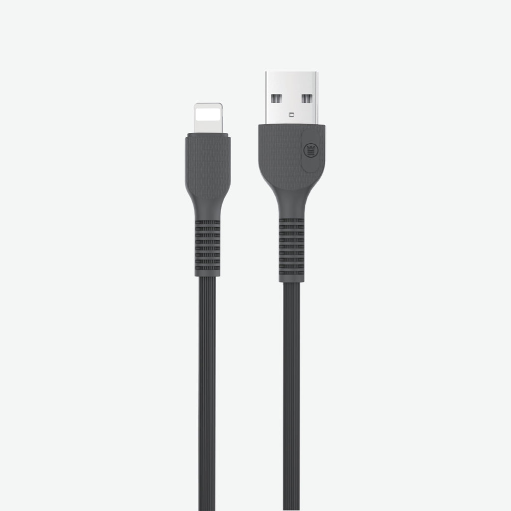 Fast Charging Data Cable WP-303